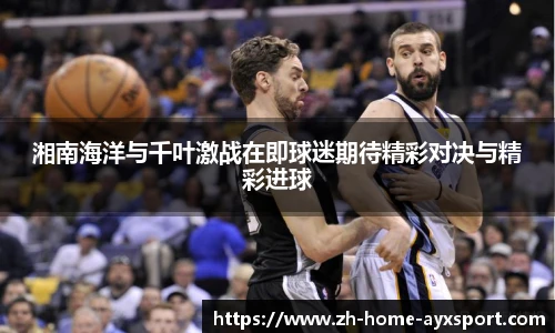 爱游戏官方入口